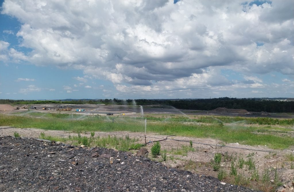 Landfill leachate irrigation